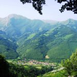 El Pino. Aller. Asturias