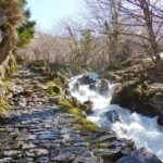 Foces de El Pino, Aller. Asturias.