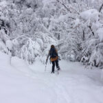 Excursión raquetas de nieve en Asturias