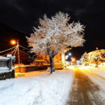 El Pino con nieve