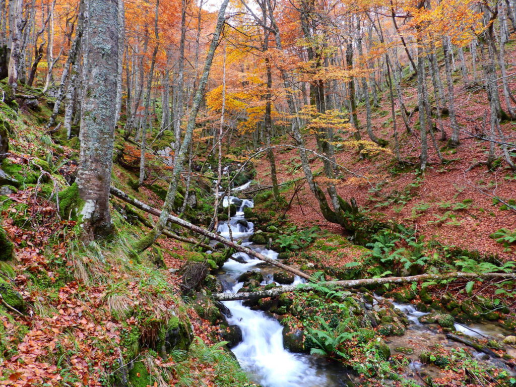 Foto de Otoño en el Gumial , Asturias