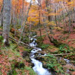 Foto de Otoño en el Gumial , Asturias