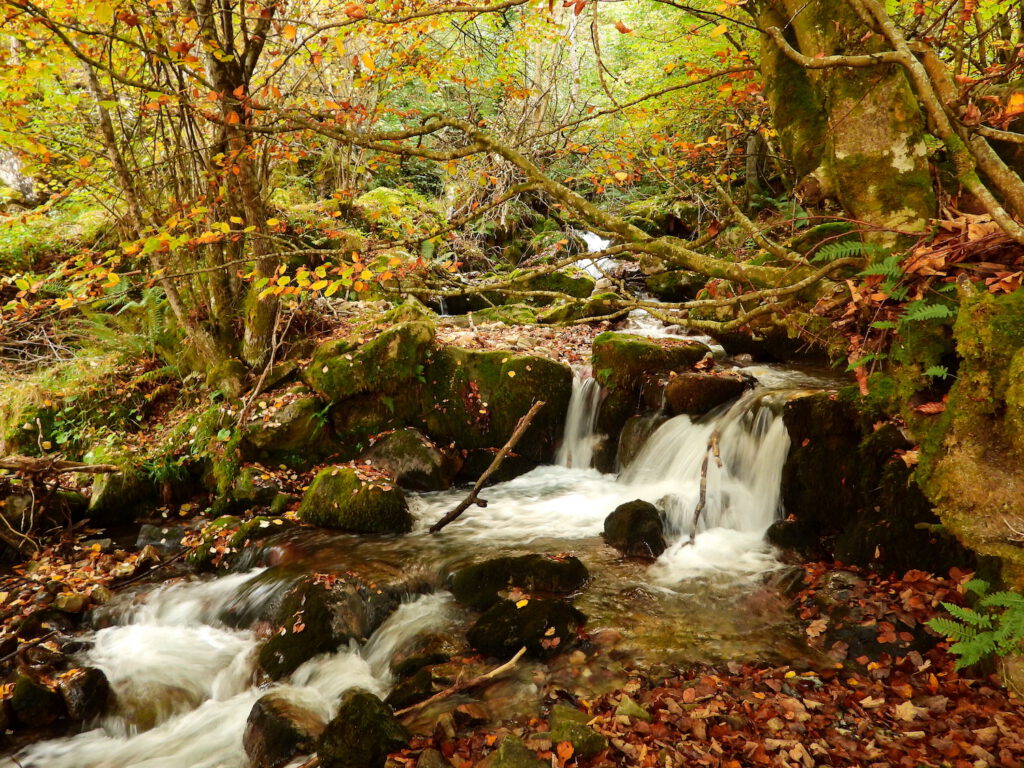 cascada en el rio Aller