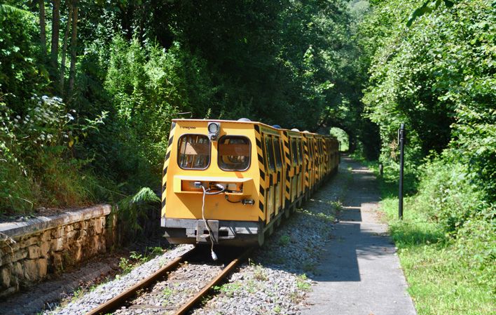 Tren de Samuño